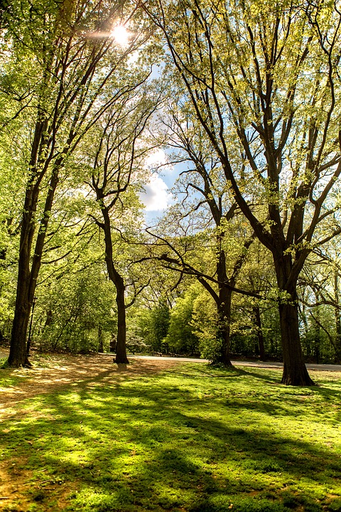 parc à proximité autour de moi