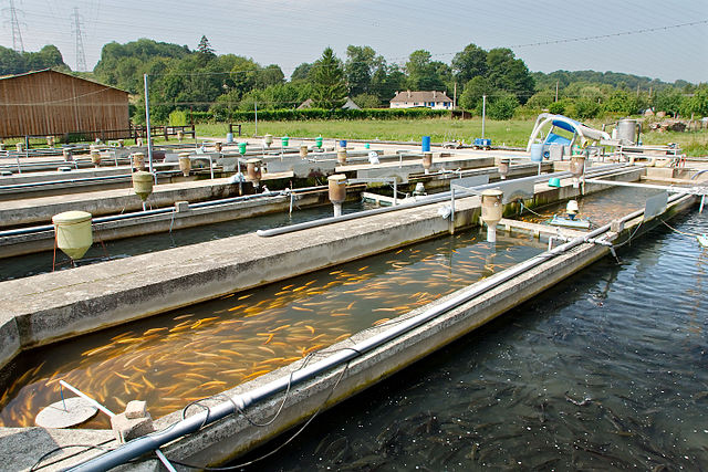 pisciculture à proximité autour de moi